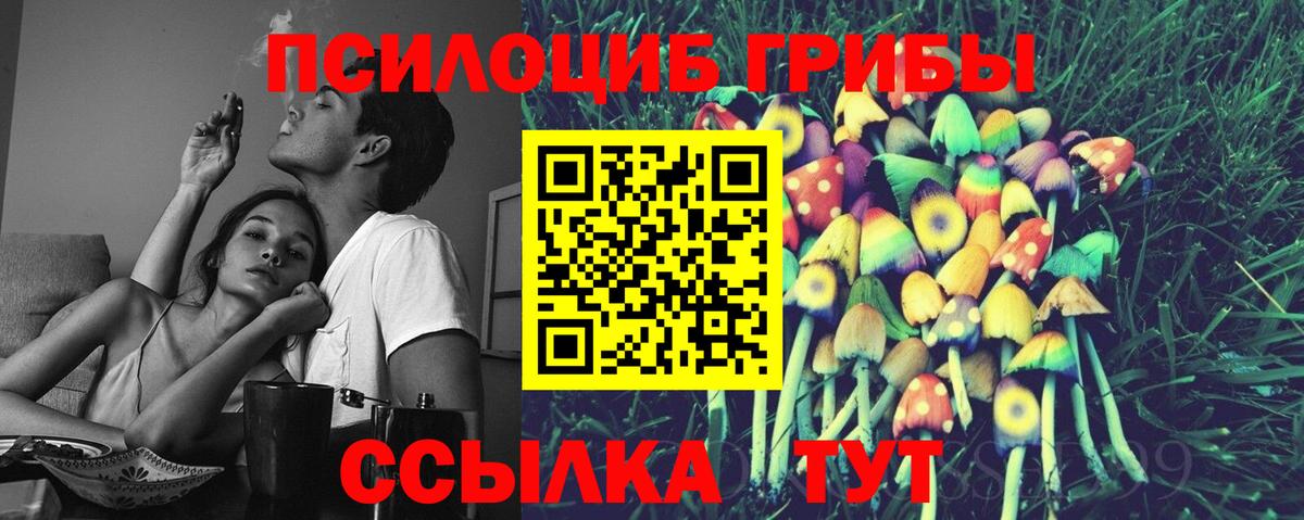 Галлюциногенные грибы ЛСД Алексеевка