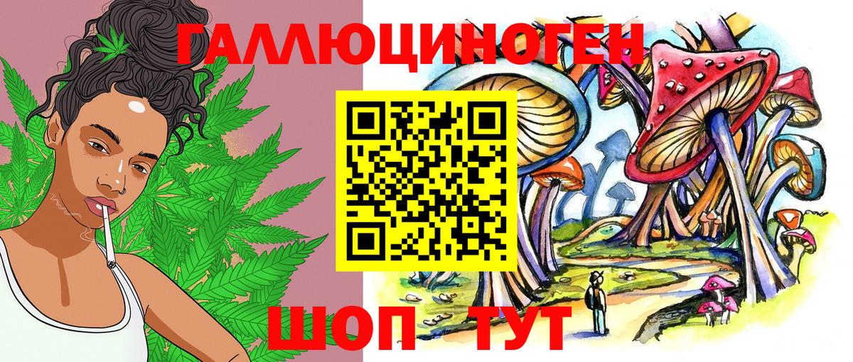 что такое   Вход с VPN  Алексеевка  Псилоцибиновые грибы мицелий 